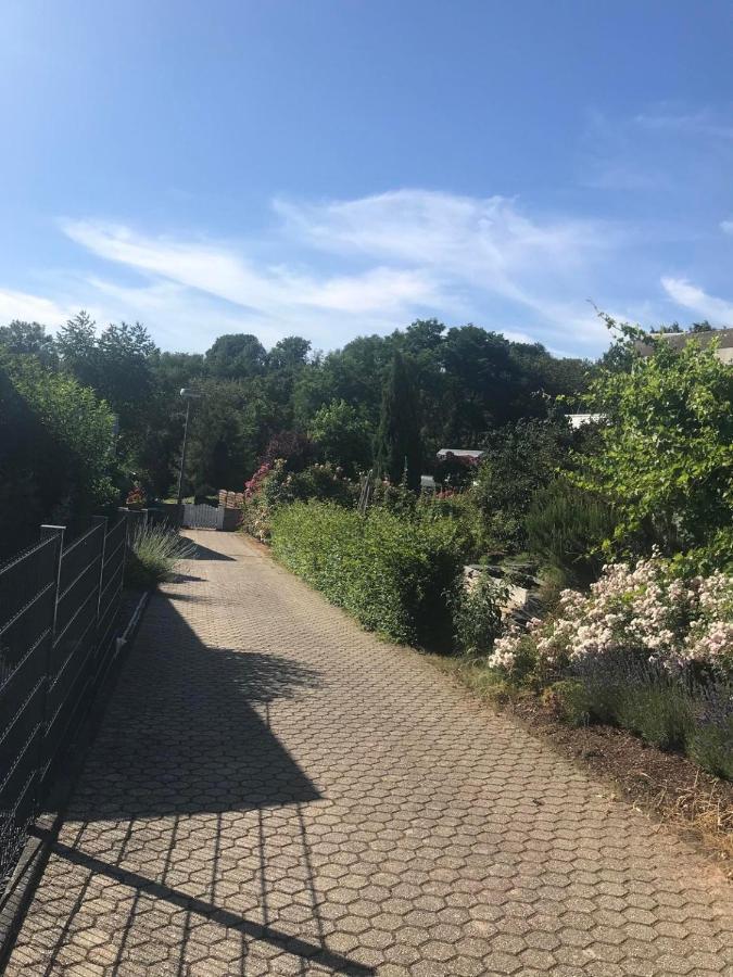 Bei Annemarie Apartment Trier Exterior foto